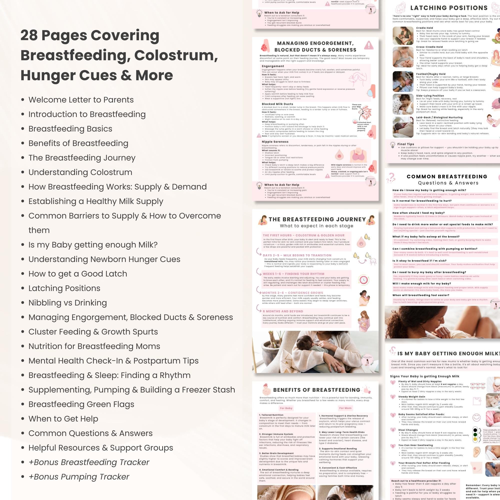 Breastfeeding Guide for Doulas & Educators, Canva Client Handouts, Newborn Feeding Education, Class Posters, Lactation Consultant Templates