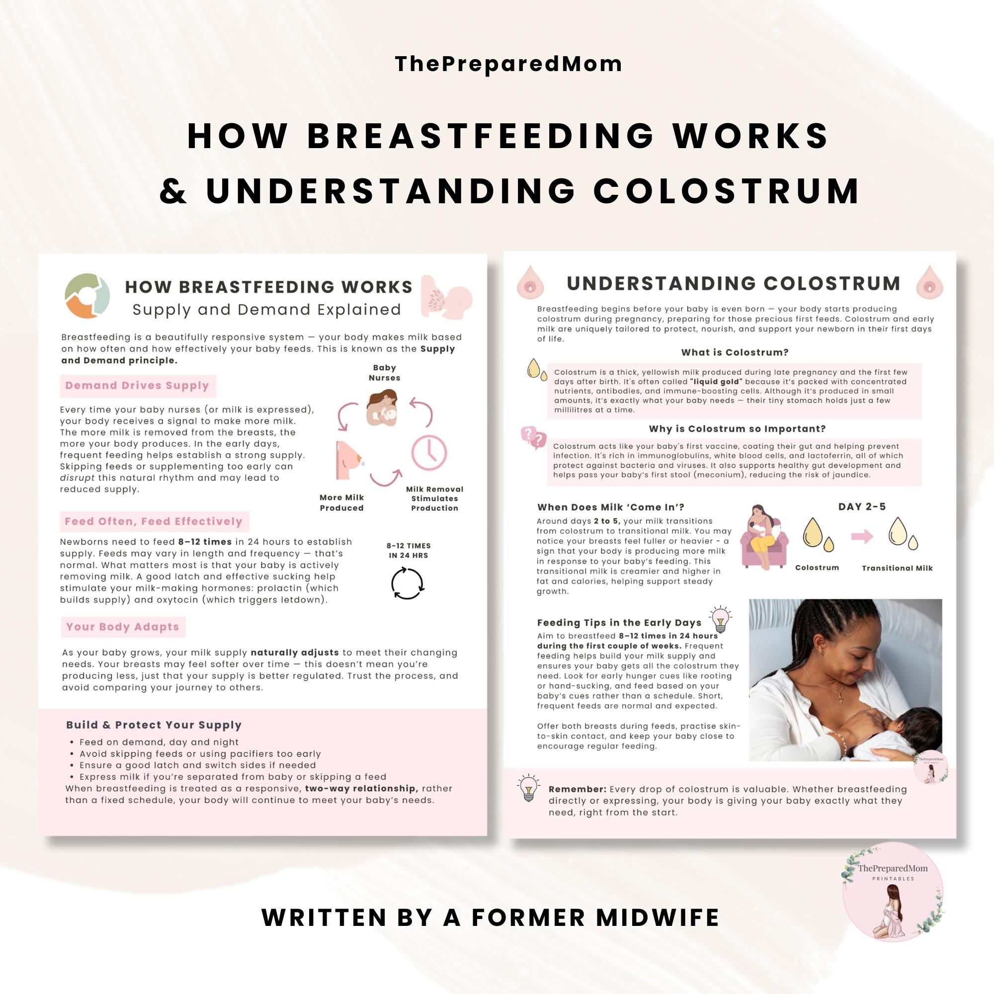 Breastfeeding Guide for Doulas & Educators, Canva Client Handouts, Newborn Feeding Education, Class Posters, Lactation Consultant Templates