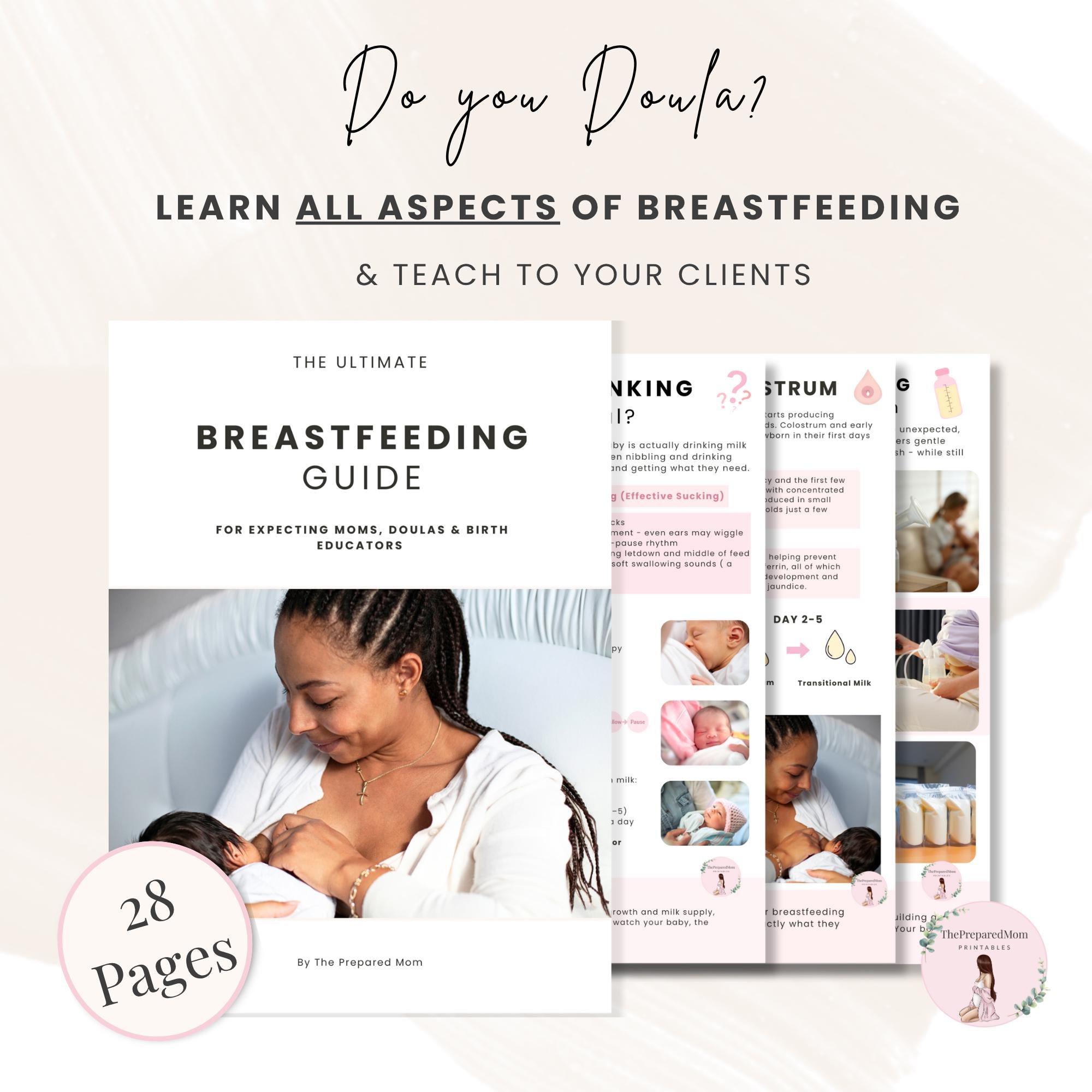 Breastfeeding Guide for Doulas & Educators, Canva Client Handouts, Newborn Feeding Education, Class Posters, Lactation Consultant Templates