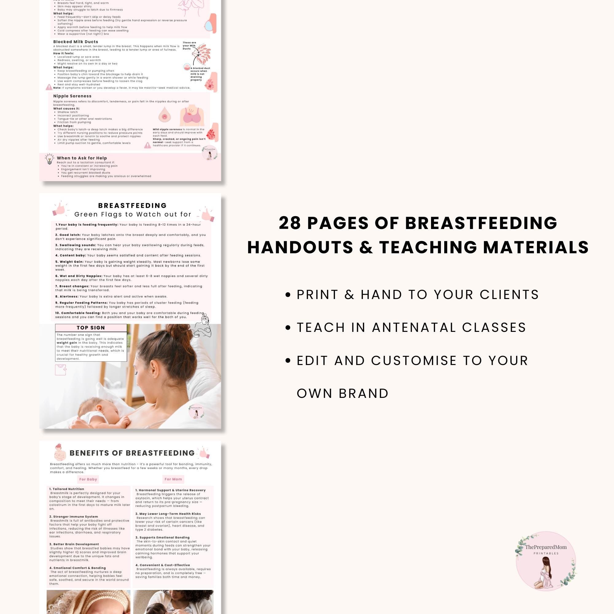 Breastfeeding Guide for Doulas & Educators, Canva Client Handouts, Newborn Feeding Education, Class Posters, Lactation Consultant Templates