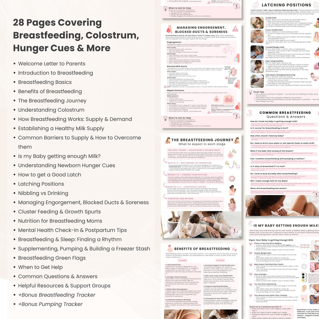 Breastfeeding Guide for Doulas & Educators, Canva Client Handouts, Newborn Feeding Education, Class Posters, Lactation Consultant Templates