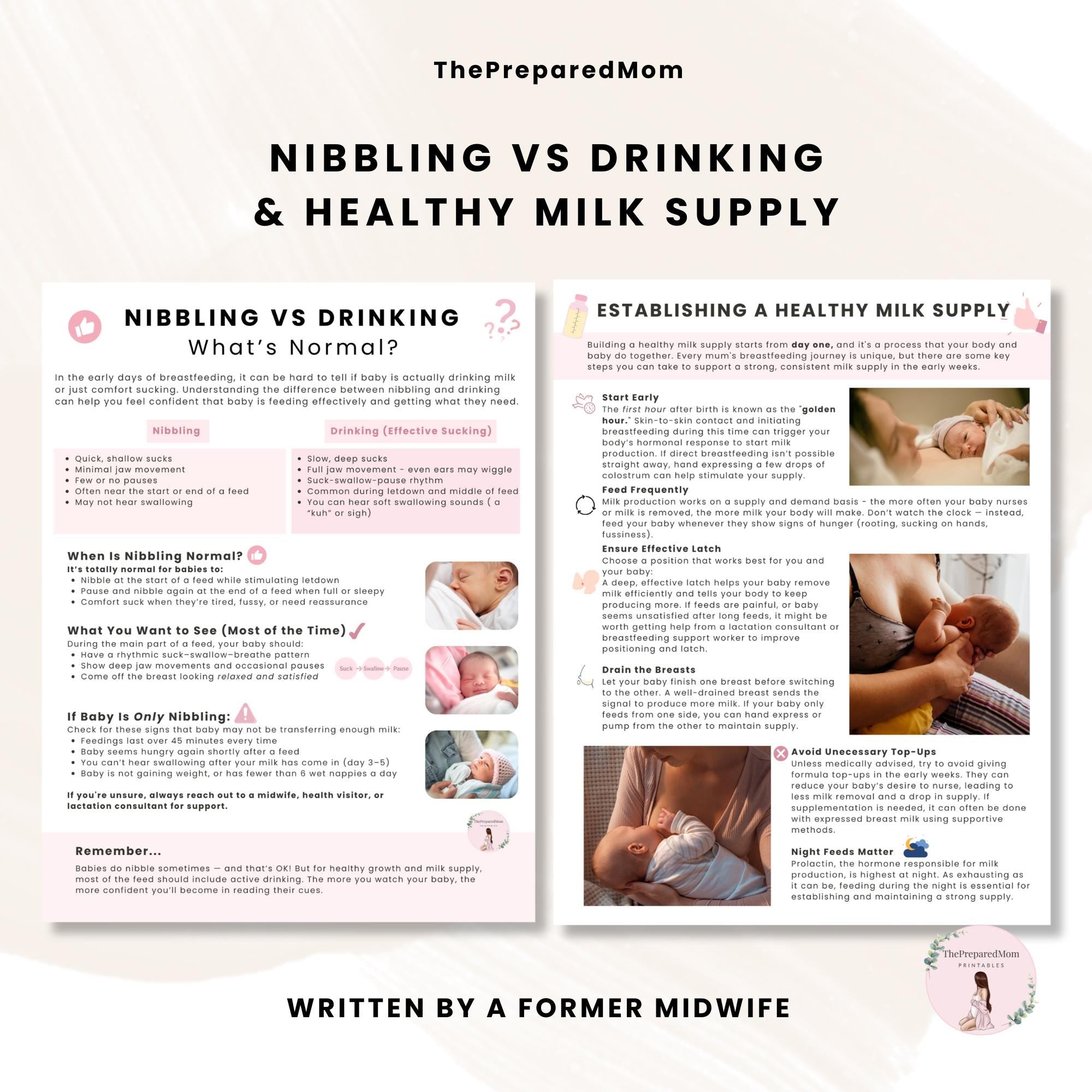 Breastfeeding Guide for Doulas & Educators, Canva Client Handouts, Newborn Feeding Education, Class Posters, Lactation Consultant Templates