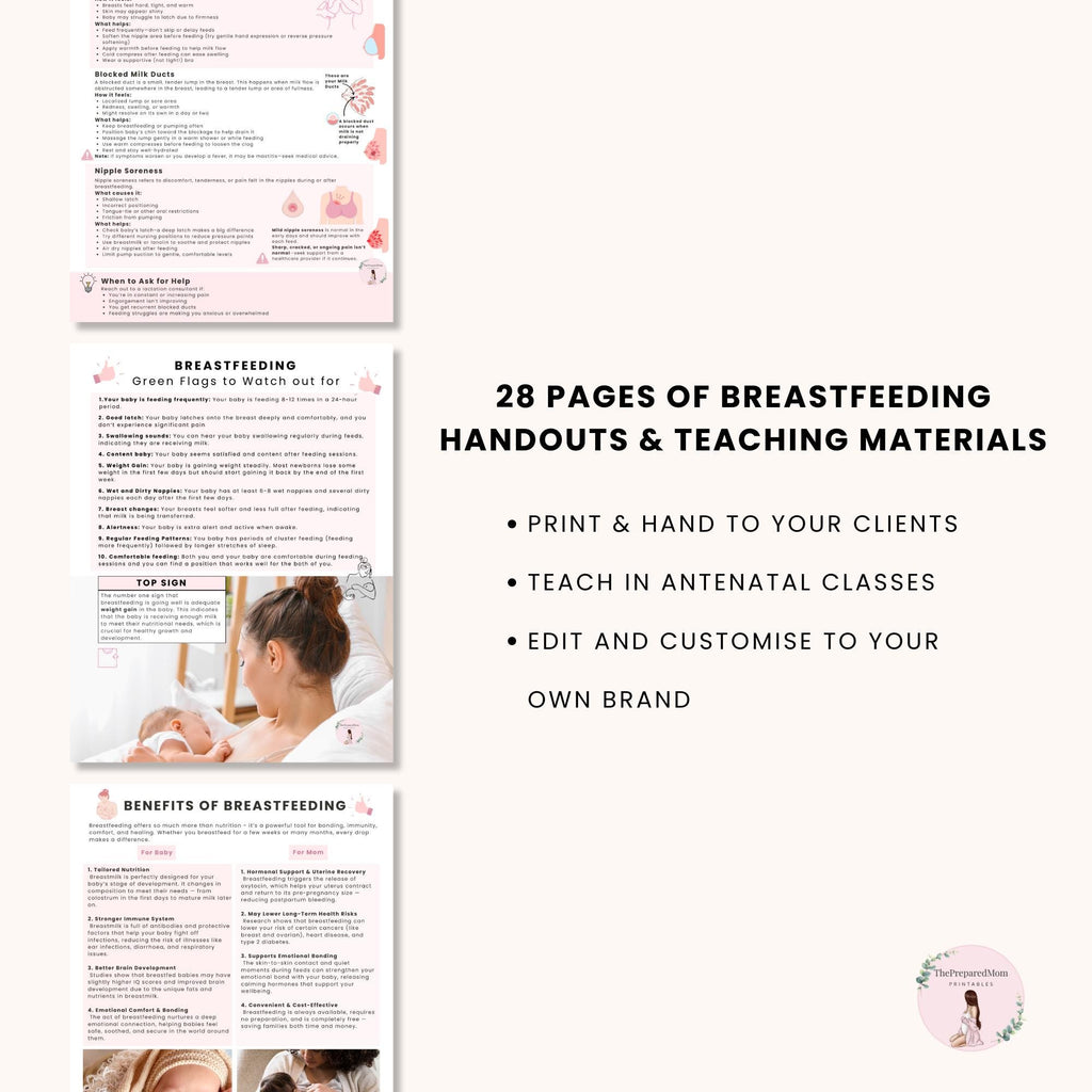 Breastfeeding Guide for Doulas & Educators, Canva Client Handouts, Newborn Feeding Education, Class Posters, Lactation Consultant Templates