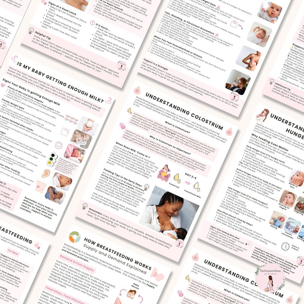 Breastfeeding Guide for Doulas & Educators, Canva Client Handouts, Newborn Feeding Education, Class Posters, Lactation Consultant Templates