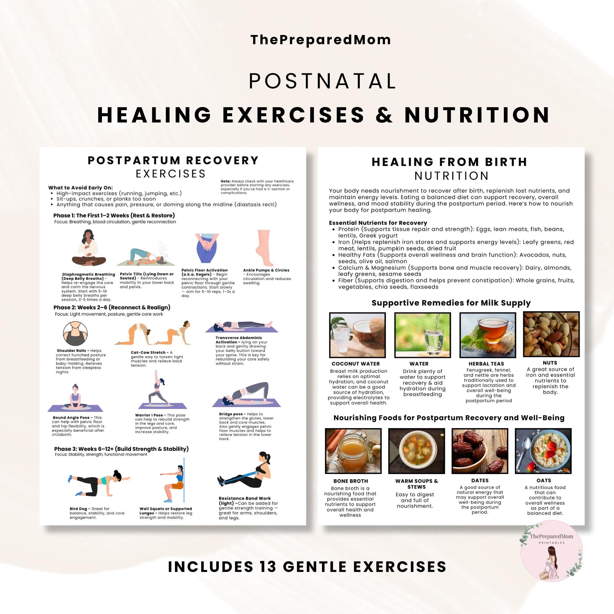 Ultimate Postpartum Recovery Guide, Printable Doula Handouts, Postnatal Prep Guide, Prenatal Preparation, Antenatal Class Teaching Materials