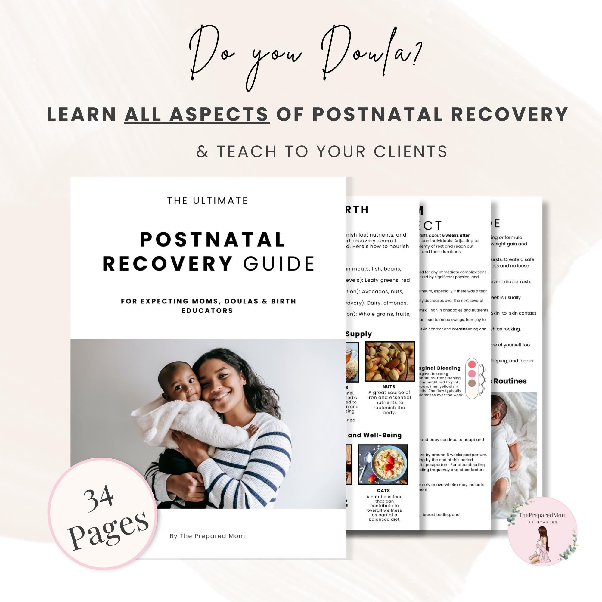 Ultimate Postpartum Recovery Guide, Printable Doula Handouts, Postnatal Prep Guide, Prenatal Preparation, Antenatal Class Teaching Materials